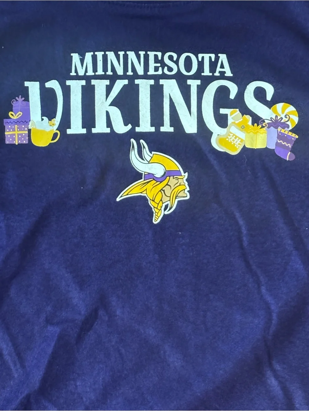 NFL minnesota vikings